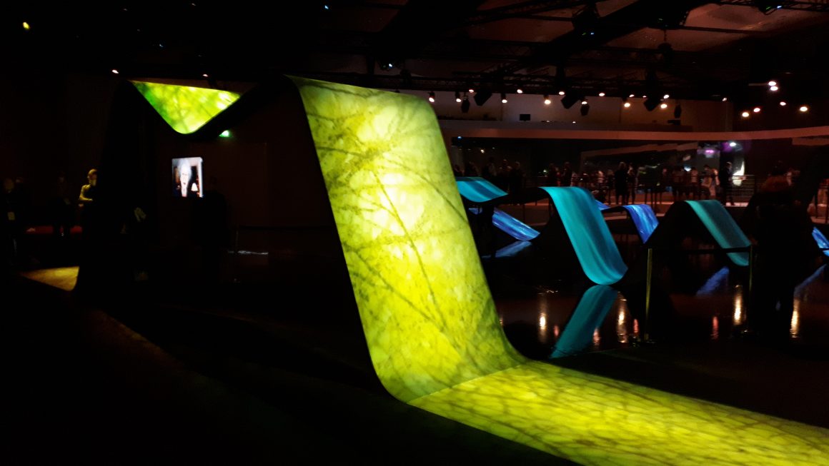 Das Bild zeigt im Vordergrund gebogene längliche Projektionsflächen. Diese sind in Blattgrün und Schatten von Ästen sind darüber gelegt. Im Hintergund sind ähnlich geformte Projektionsflächen in Blau. Der Raum ist dunkel.