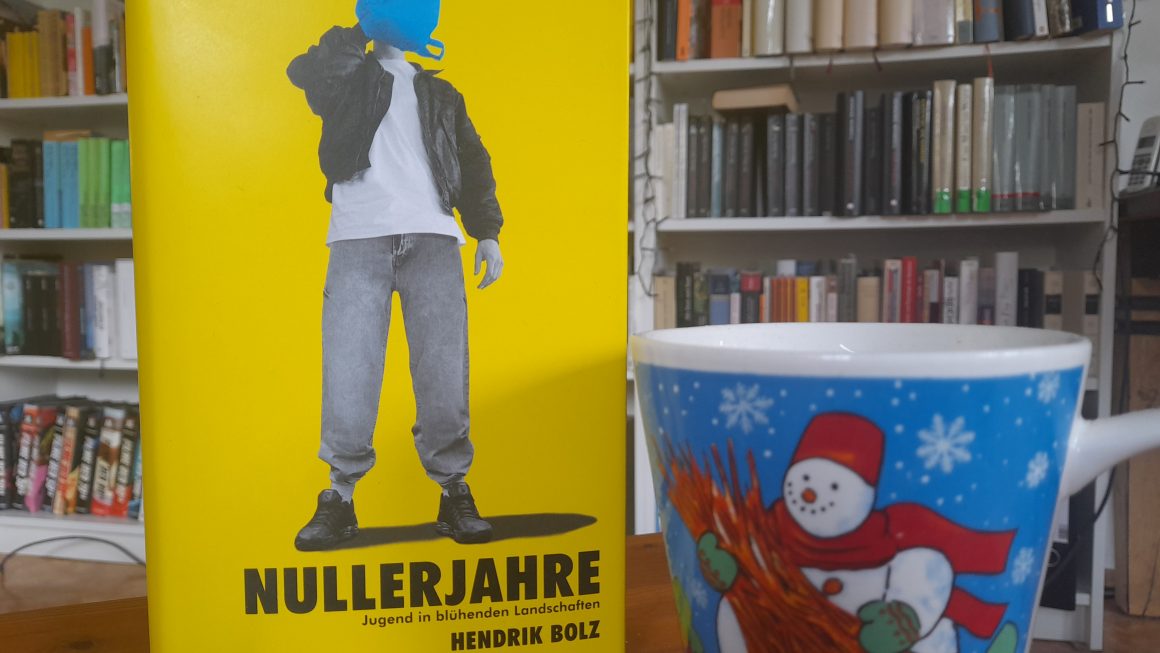 Das Bild zeigt das Buch "Nullerjahre" von Hendrik Bolz